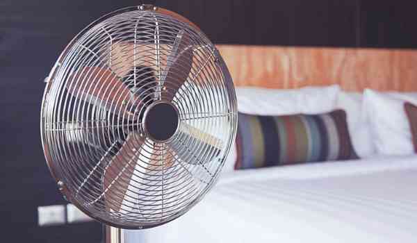 Fans