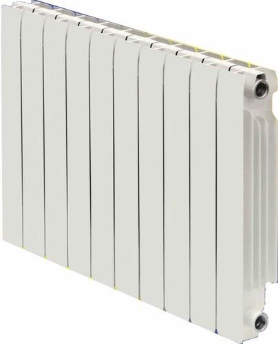 Radiator Ferroli EUROPA C 800 - 10 Elemente mit der Referenz 740078010 von der Marke FERROLI